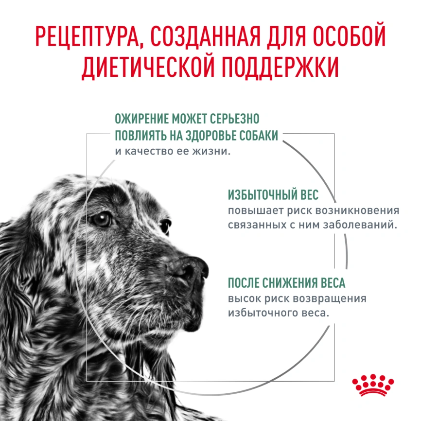 Сухой корм Royal Canin Satiety Weight Management для собак для снижение веса, 1.5 кг фото 2