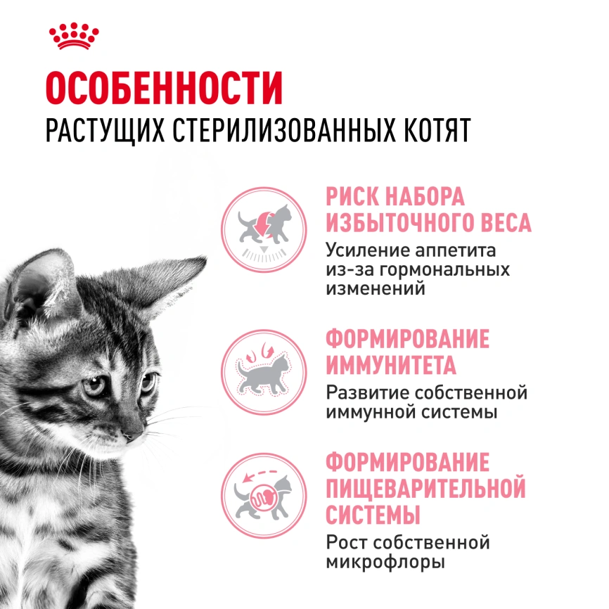 Сухой корм Royal Canin Kitten Sterilised для котят, 2 кг фото 2
