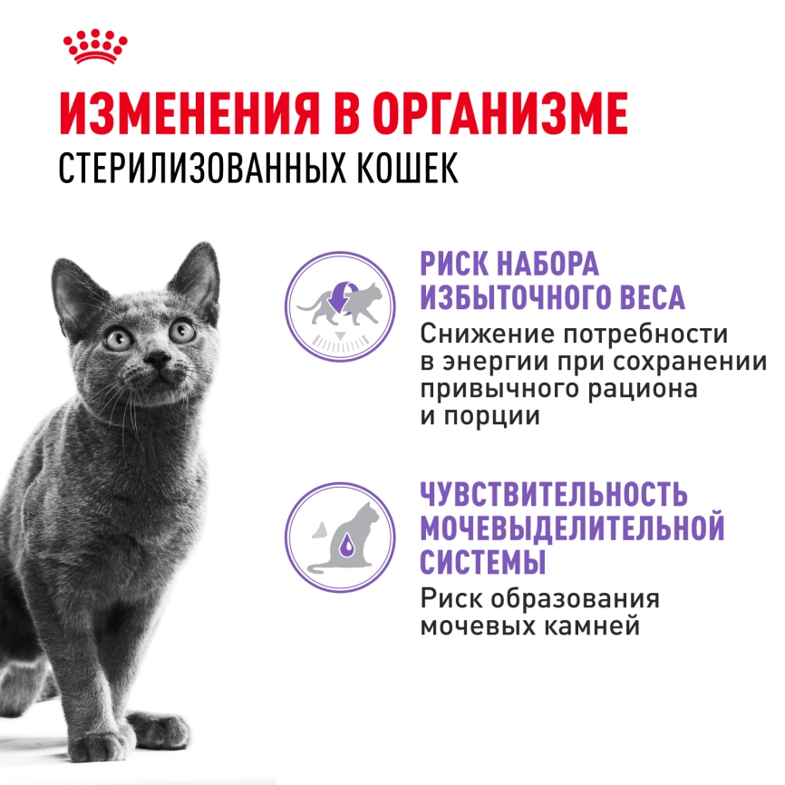 Влажный корм Royal Canin Sterilised в соусе для стерилизованных кошек старше 1 года, пауч, 85 г фото 9