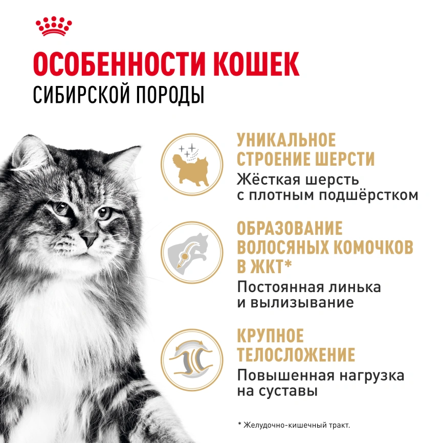 Сухой корм Royal Canin Siberian для кошек, 2 кг фото 2