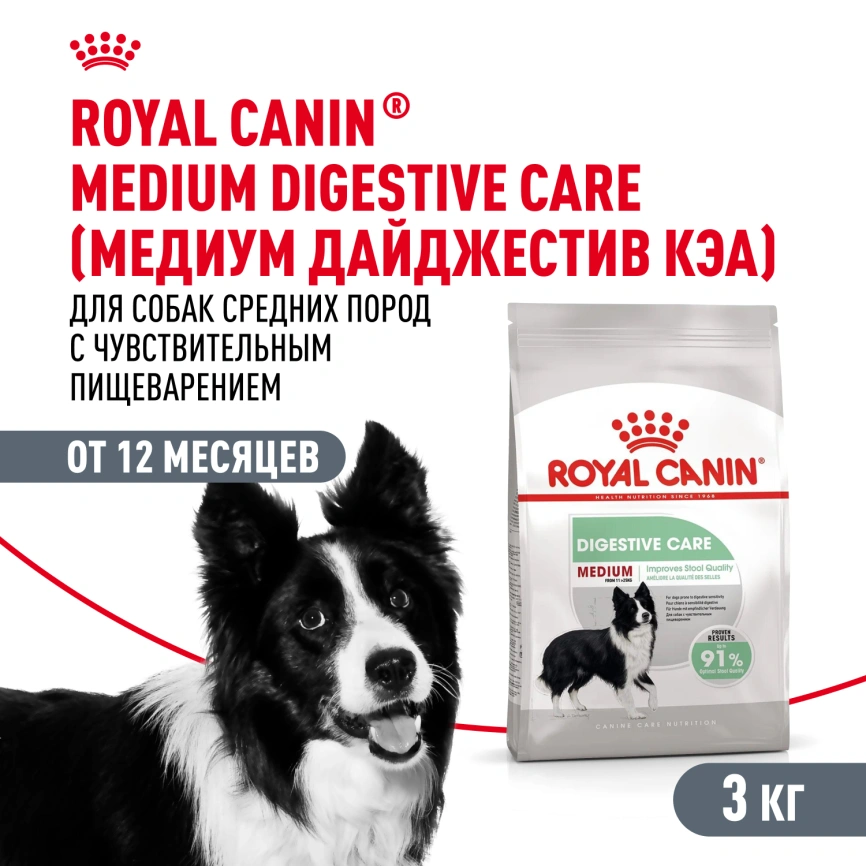 Сухой корм Royal Canin Medium Digestive Care для собак, 3 кг фото 1