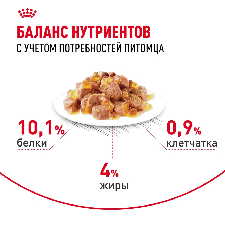 Влажный корм Royal Canin Hair & Skin Care в желе для взрослых кошек старше 1 года, пауч, 85 г фото 5