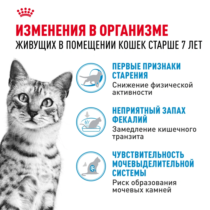 Сухой корм Royal Canin Indoor 7+ для кошек, 3,5 кг фото 5