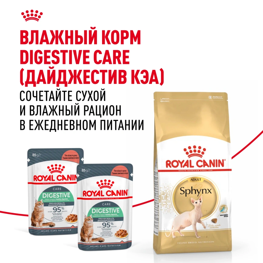 Сухой корм Royal Canin Sphynx для кошек породы сфинкс, 2 кг фото 8