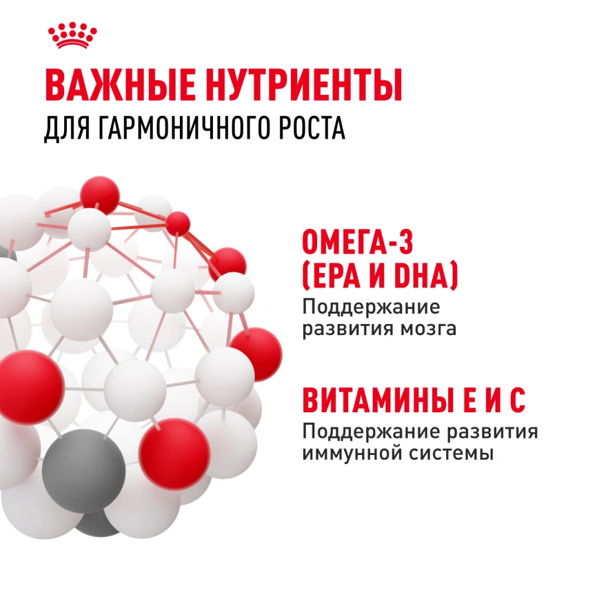 Влажный корм Royal Canin Kitten в соусе для котят до 12 месяцев, пауч, 85 г фото 13