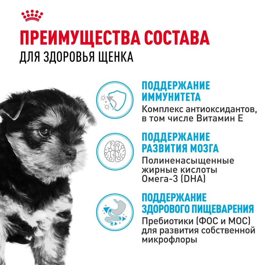 Сухой корм Royal Canin Yorkshire Terrier Puppy для щенков, 500 г фото 3
