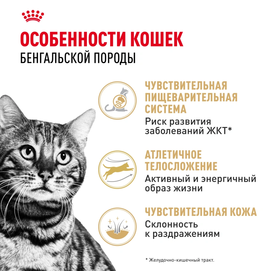 Сухой корм Royal Canin Bengal для кошек бенгальской породы, 2 кг фото 2