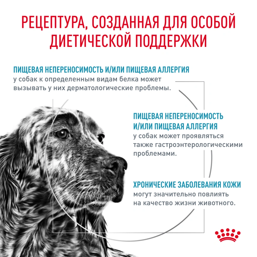 Сухой корм Royal Canin Hypoallergenic для собак, 4 кг фото 3