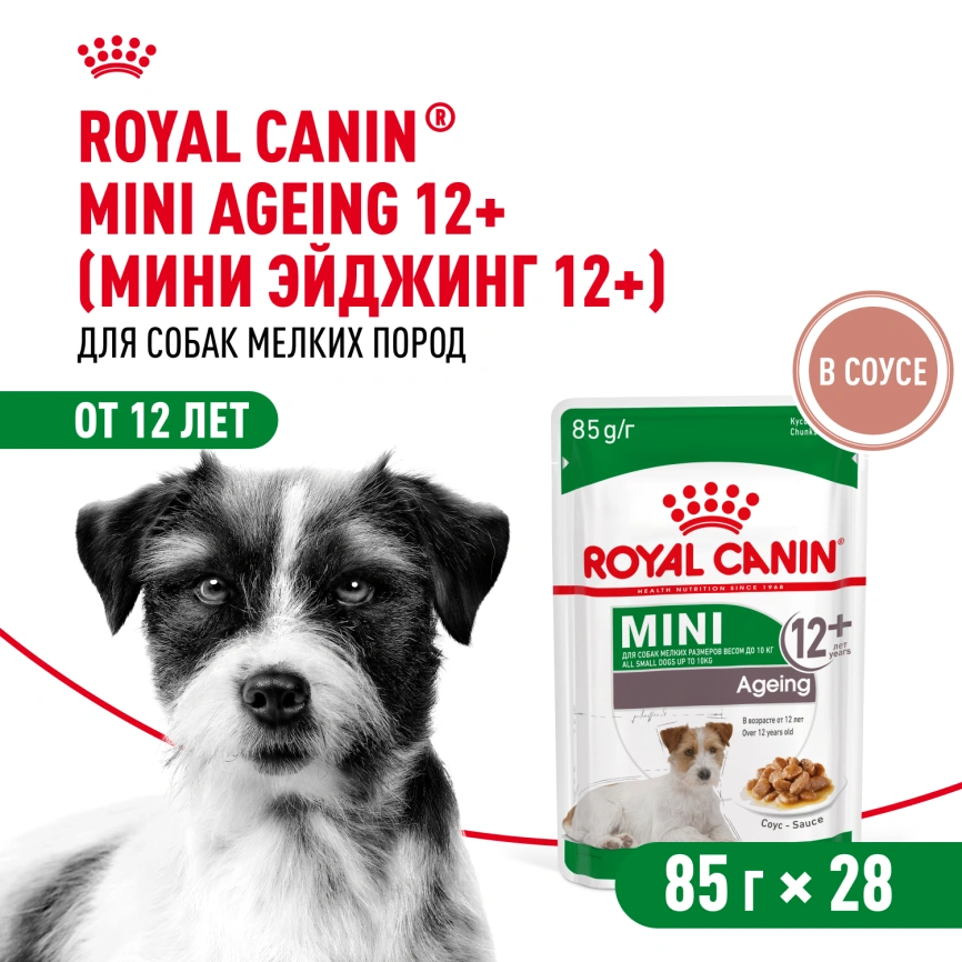 Влажный корм Royal Canin Mini Ageing 12+ в соусе для стареющих собак мелких пород старше 12 лет, пауч, 85 г фото 12