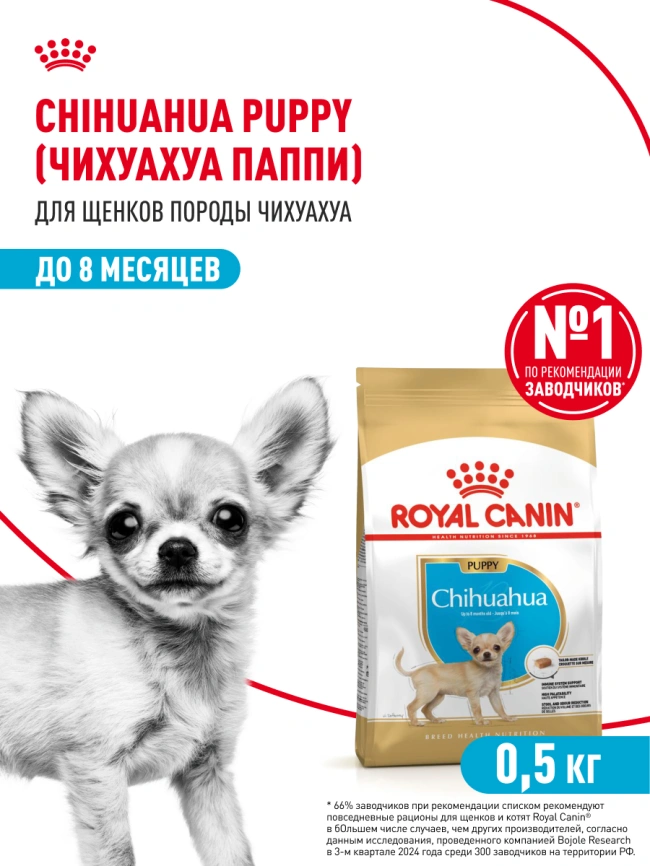 Сухой корм Royal Canin Chihuahua Puppy для щенков породы чихуахуа, 500 г фото 15
