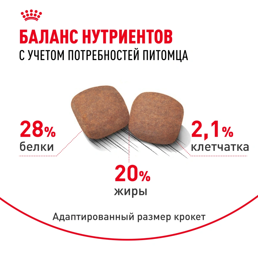 Сухой корм Royal Canin Giant Adult для собак, 4 кг фото 4