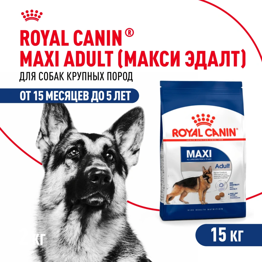 Сухой корм Royal Canin Maxi Adult для собак, 15 кг фото 1