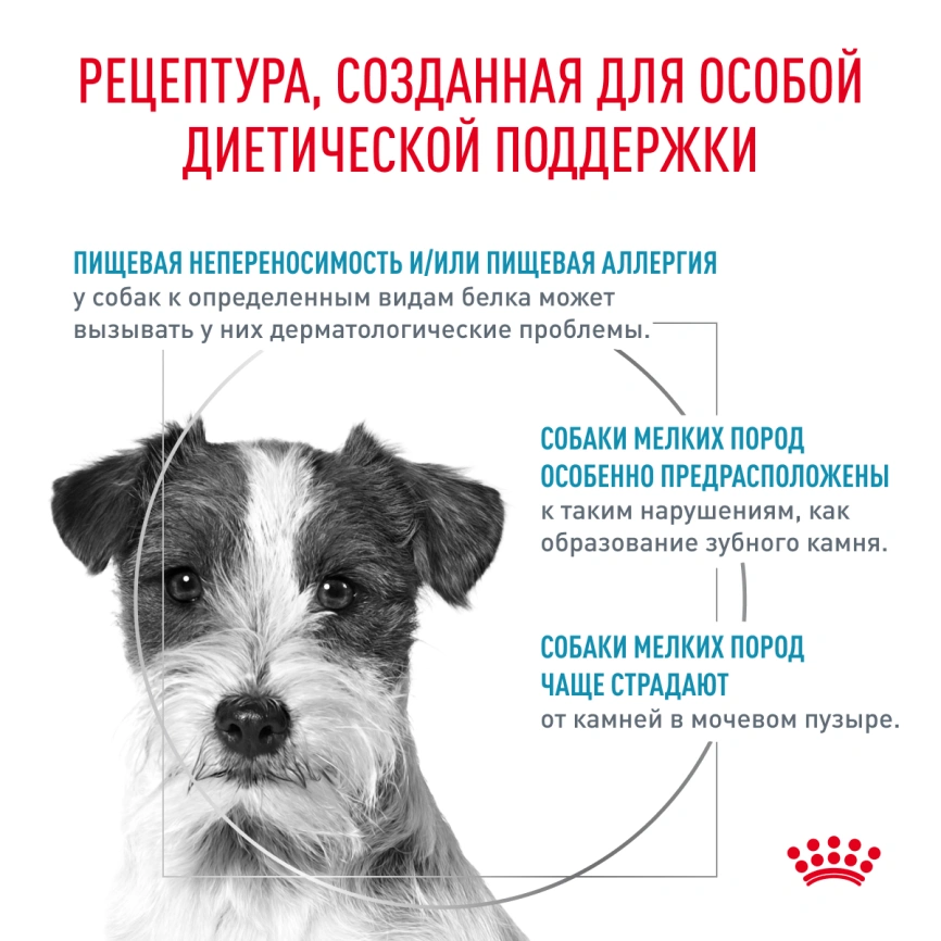 Сухой корм Royal Canin Hypoallergenic Small Dogs для собак, 1 кг фото 3