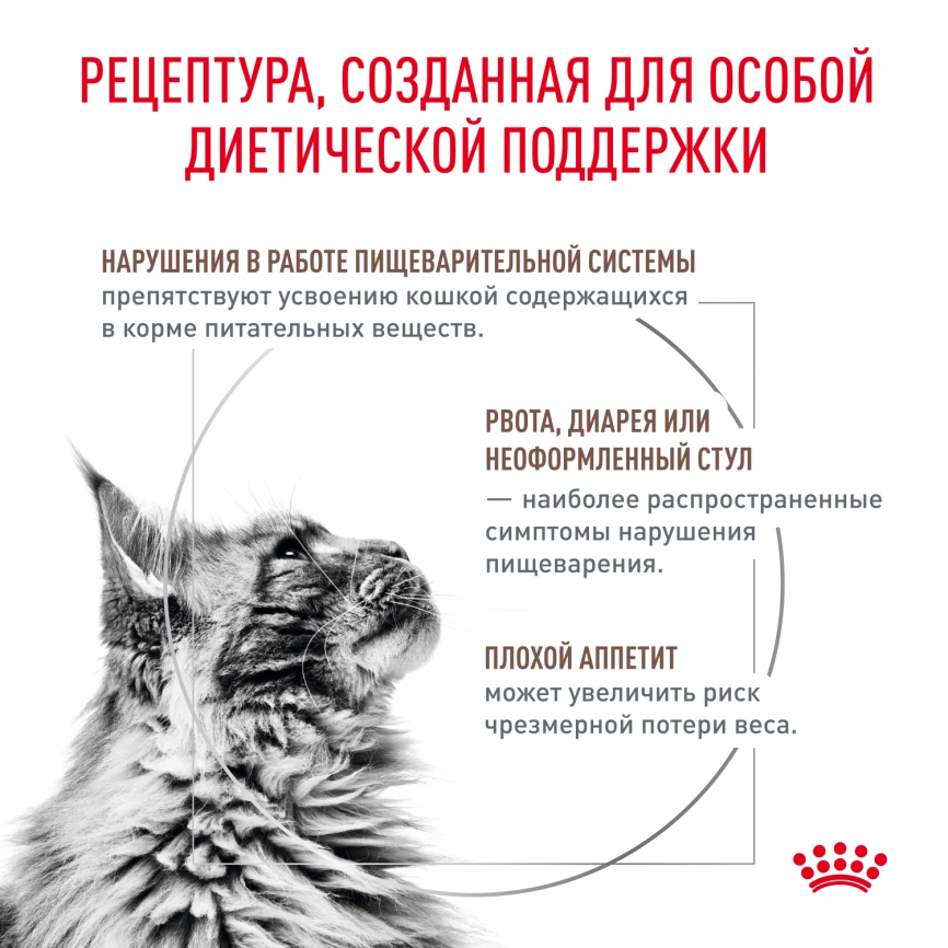 Влажный диетический корм Royal Canin Gastrointestinal для кошек при расстройствах пищеварения, пауч, 85 г фото 8