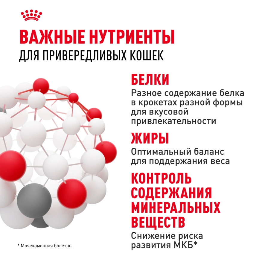 Сухой корм Royal Canin Savour Exigent для кошек, 2 кг фото 5
