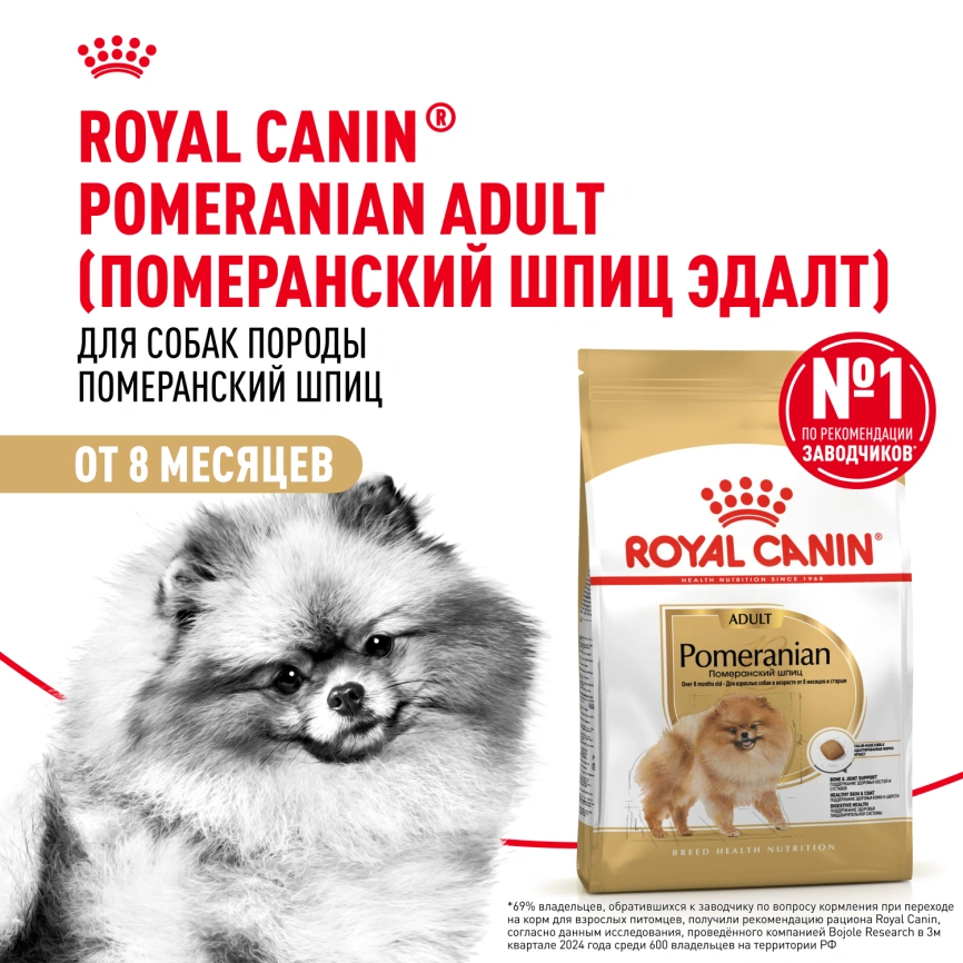 Сухой корм Royal Canin Pomeranian Adult для собак породы померанский шпиц, 500 г фото 13