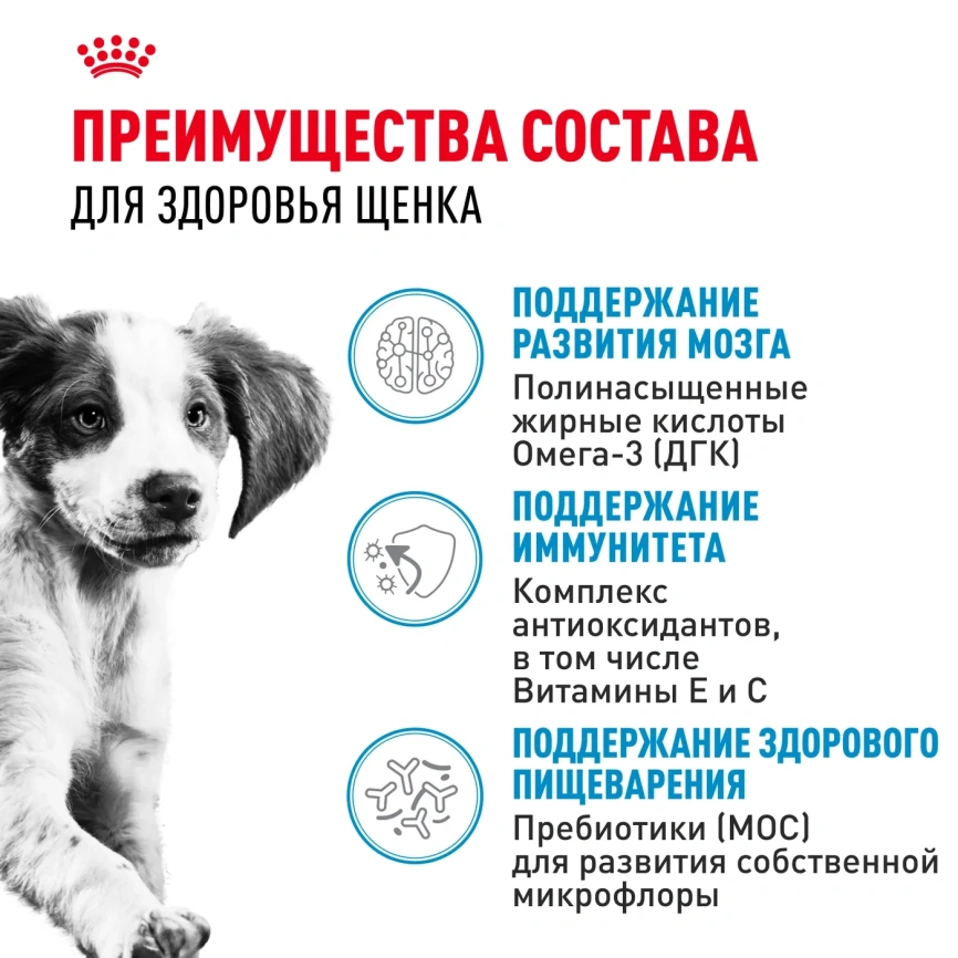 Влажный корм Royal Canin Medium Puppy для щенков средних пород в соусе, 100 г фото 3