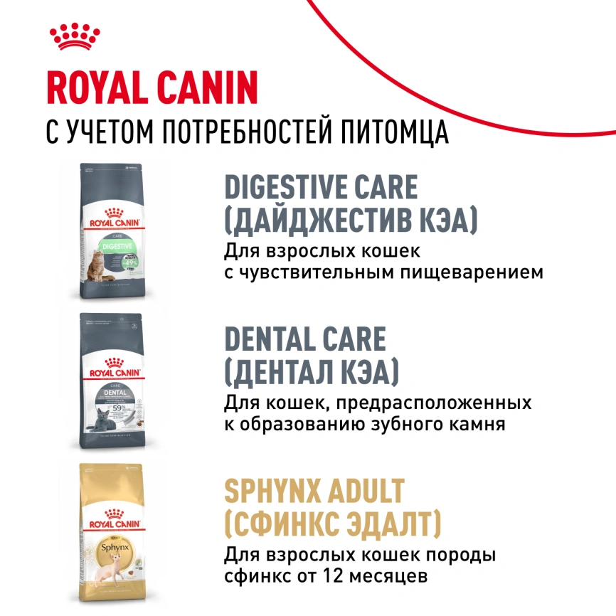 Сухой корм Royal Canin Kitten Sphynx для котят, 400 г фото 10