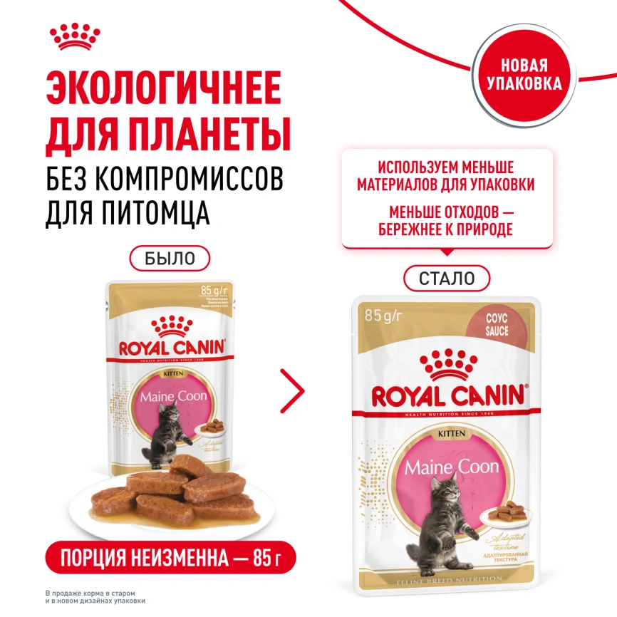 Влажный корм Royal Canin Maine Coon Kitten в соусе для котят породы мейн-кун и других крупных пород старше 3 месяцев, пауч, 85 г фото 26