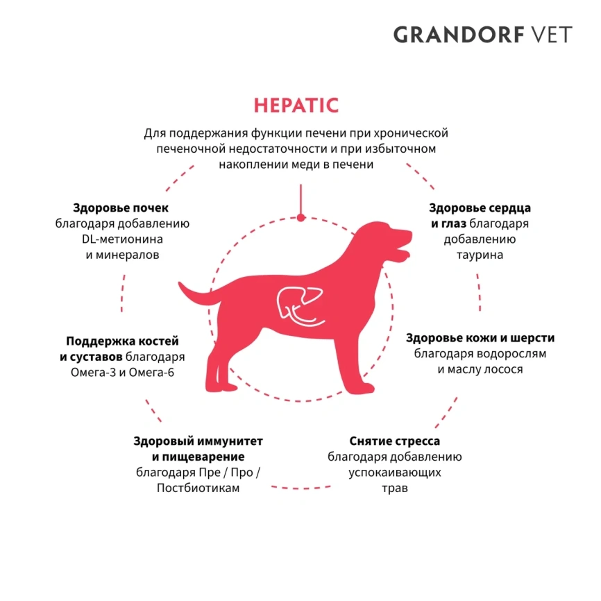 Сухой корм Grandorf Veterinary Hepatic для собак при заболеваниях печени, 3 кг фото 2
