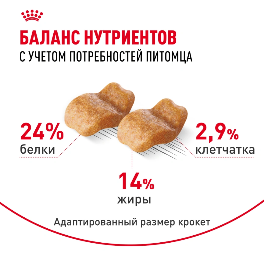 Сухой корм Royal Canin Bulldog Adult для собак породы английский бульдог, 12 кг фото 4