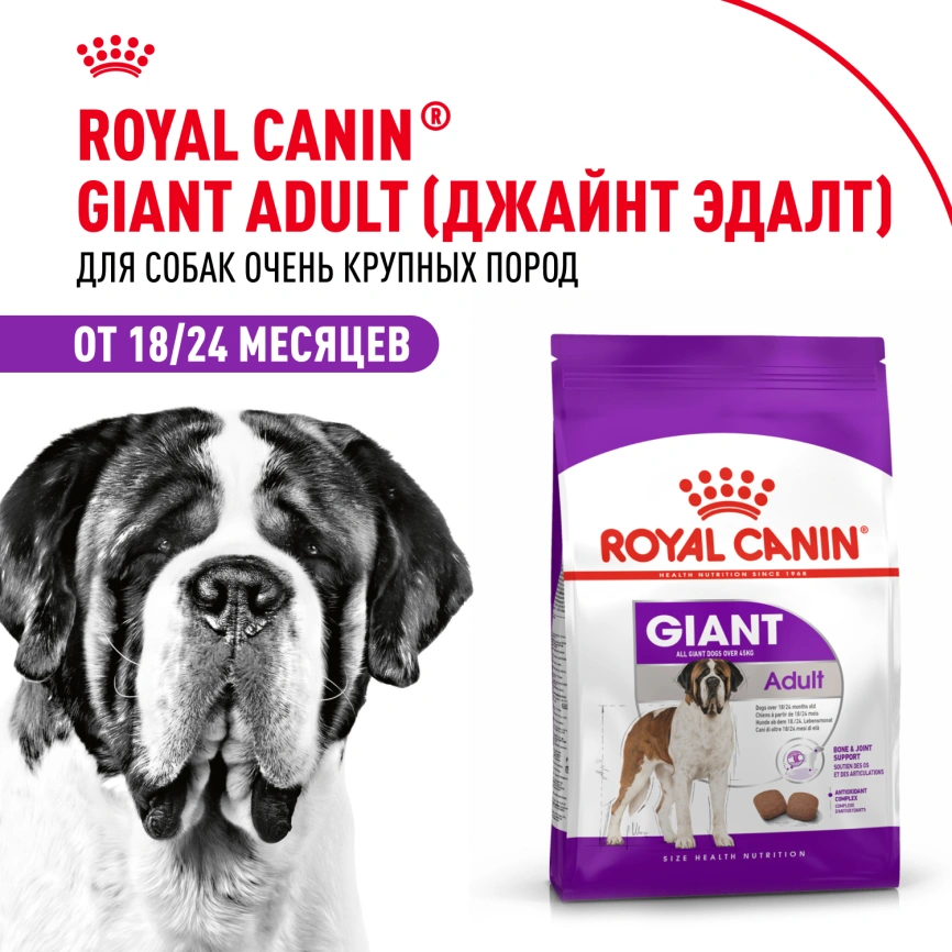 Сухой корм Royal Canin Giant Adult для собак, 15 кг фото 11