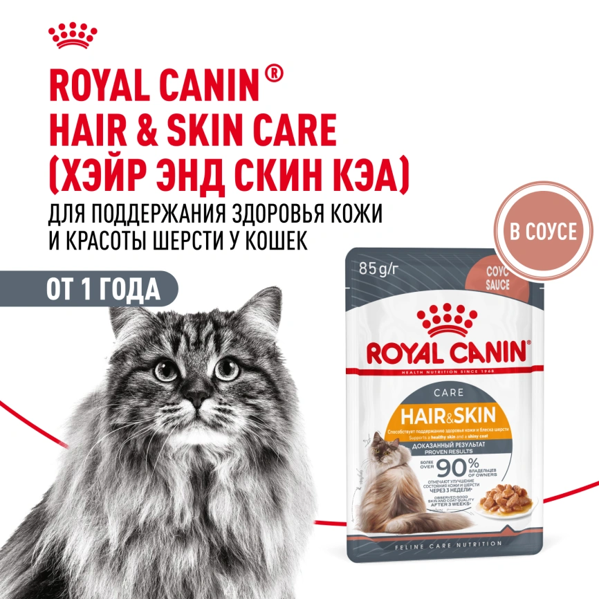 Влажный корм Royal Canin Hair & Skin Care в соусе для взрослых кошек старше 1 года, пауч, 85 г фото 18