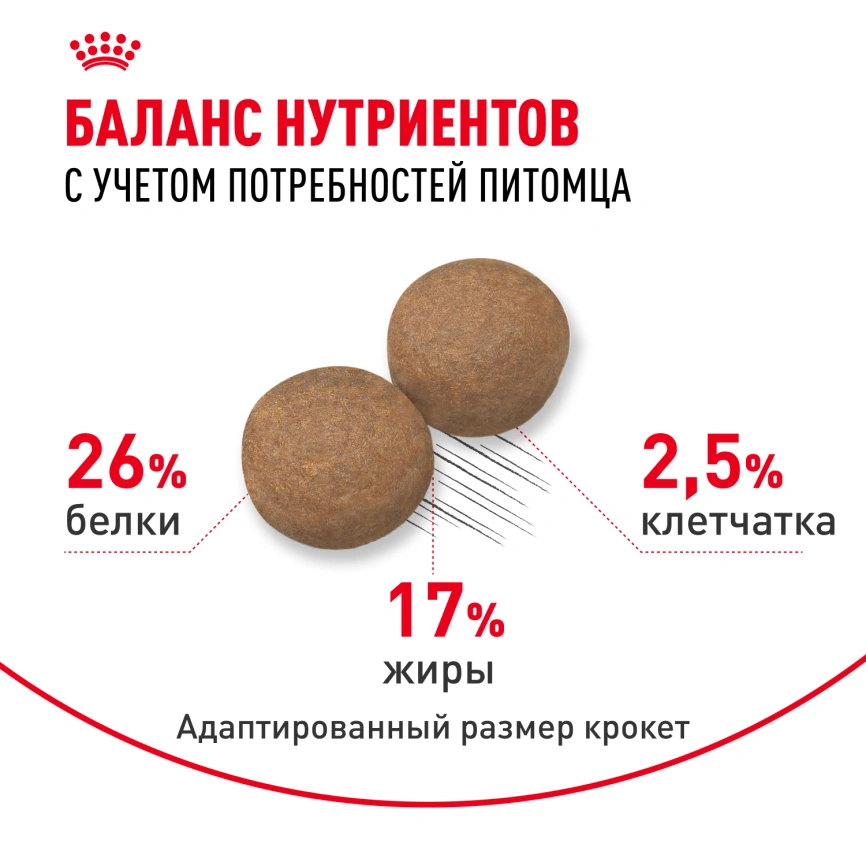 Сухой корм Royal Canin Maxi Adult 5+ для собак, 4 кг фото 4
