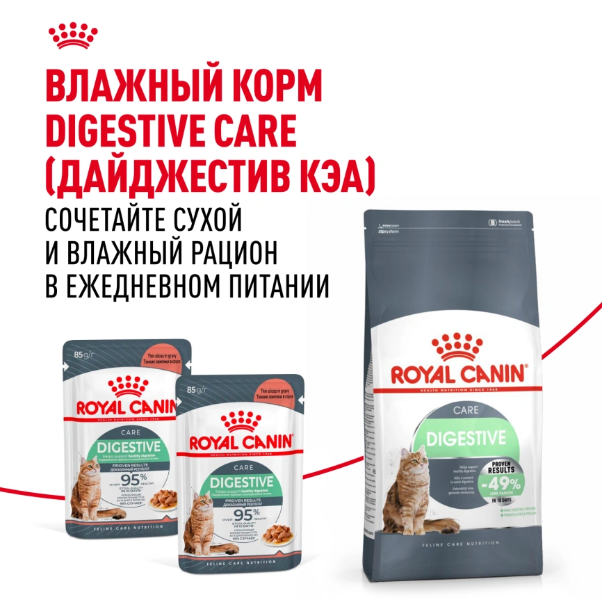 Сухой корм Royal Canin Digestive Care для кошек, 2 кг фото 8