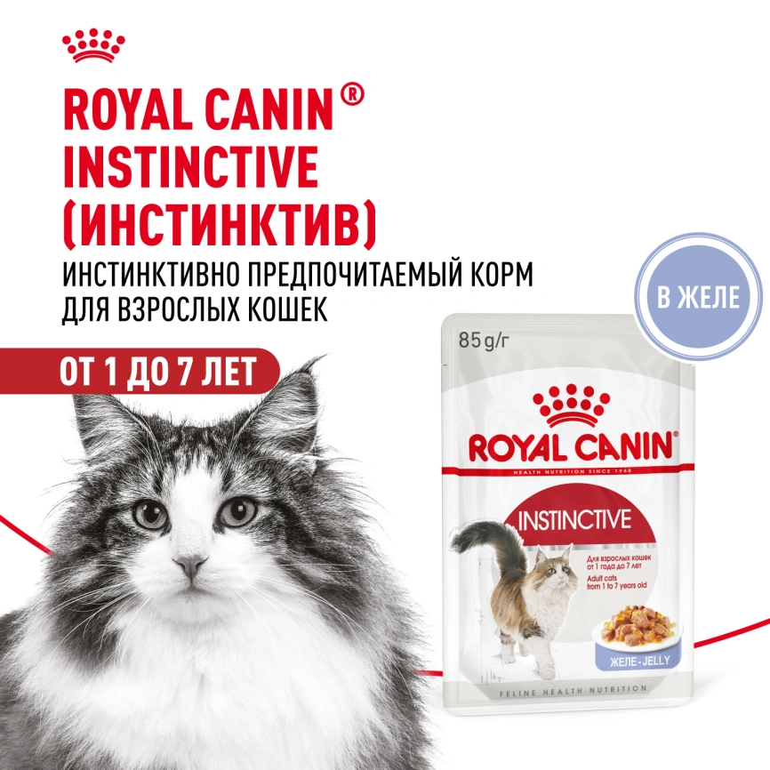 Влажный корм Royal Canin Instinctive в желе для взрослых кошек старше 1 года, пауч, 85 г фото 16