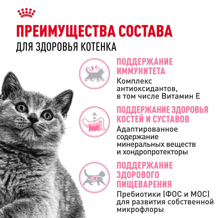 Сухой корм Royal Canin Kitten British Shorthair для котят, 400 г фото 3