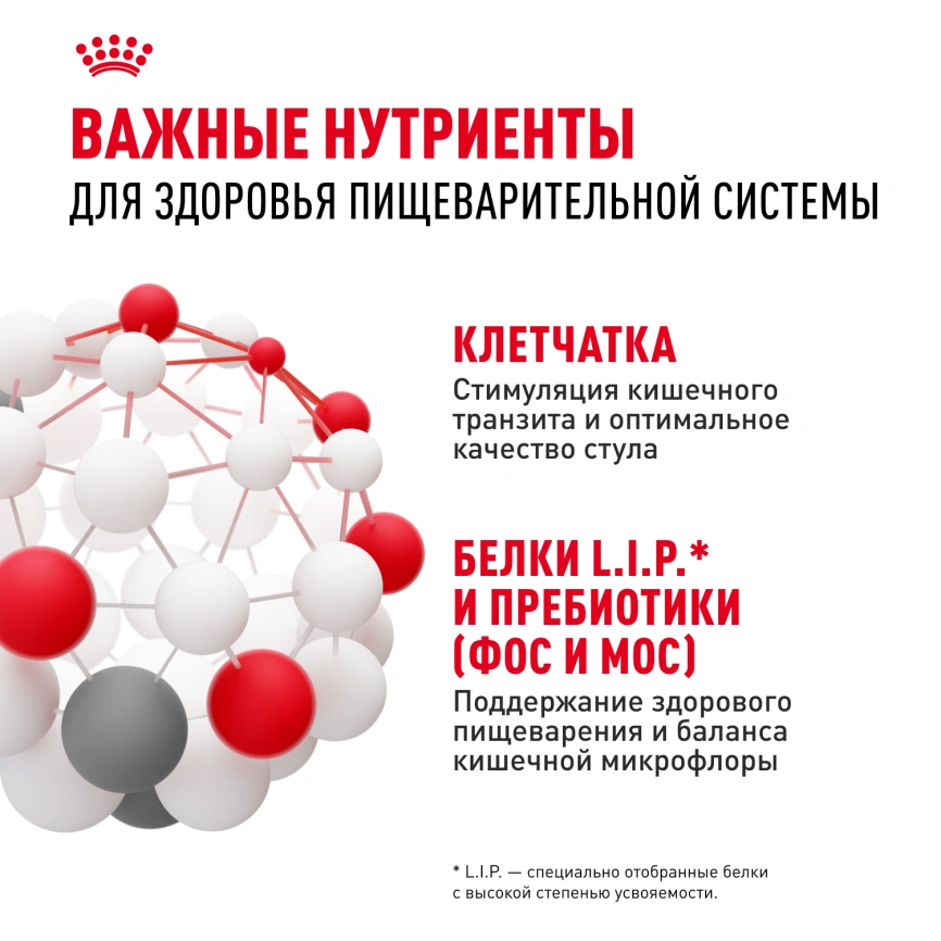 Сухой корм Royal Canin Mini Digestive Care для собак, 3 кг фото 5