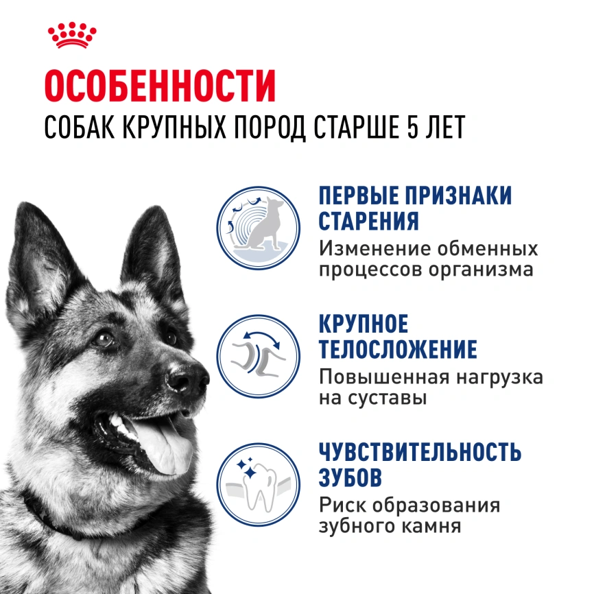 Сухой корм Royal Canin Maxi Adult 5+ для собак, 15 кг фото 2