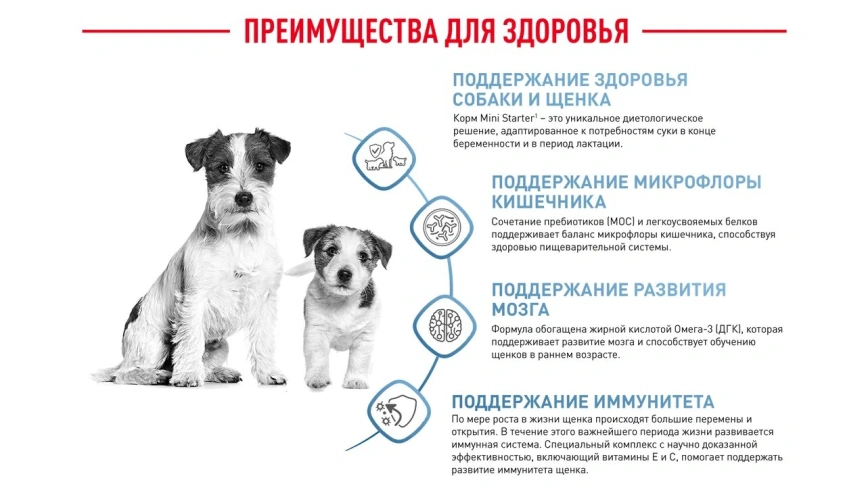 Сухой корм Royal Canin Mini Starter Mother & Babydog для щенков и кормящих сук, 1 кг фото 17