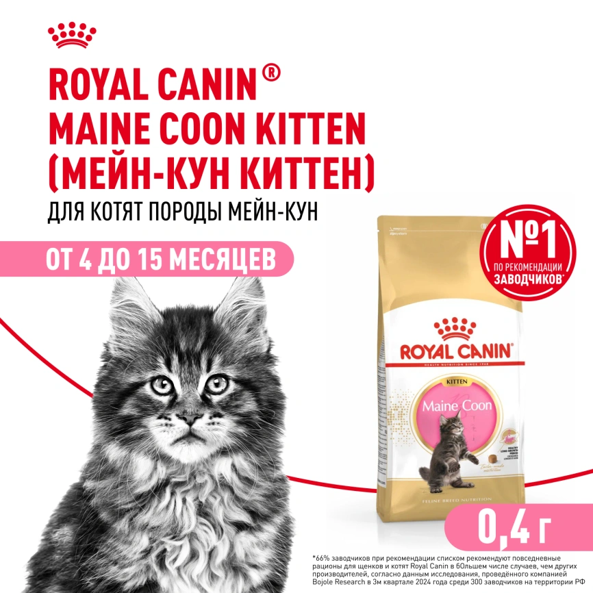 Сухой корм Royal Canin Kitten Maine Coon для котят, 400 г фото 1