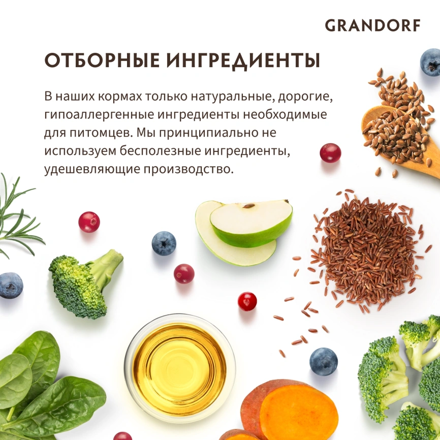 Сухой корм Grandorf 4 Meat Probiotic Mini Четыре вида мяса для взрослых собак мелких пород, 8 кг фото 8