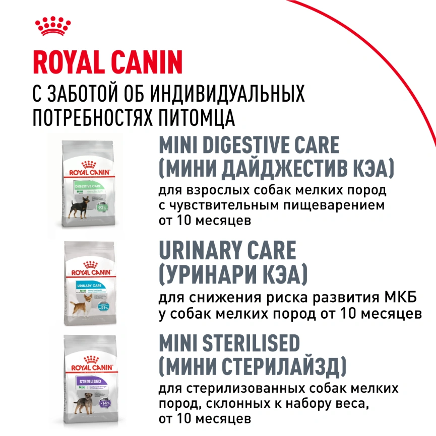 Сухой корм Royal Canin Chihuahua Adult для собак породы чихуахуа, 1.5 кг фото 8