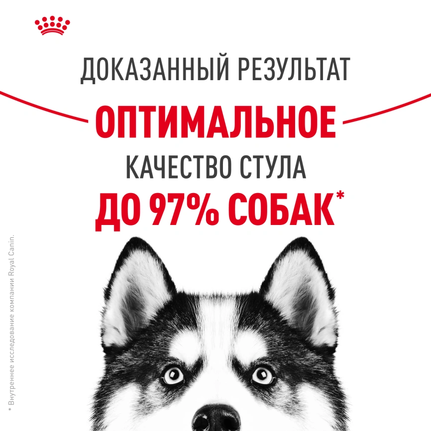 Сухой корм Royal Canin Maxi Digestive Care для собак, 12 кг фото 10