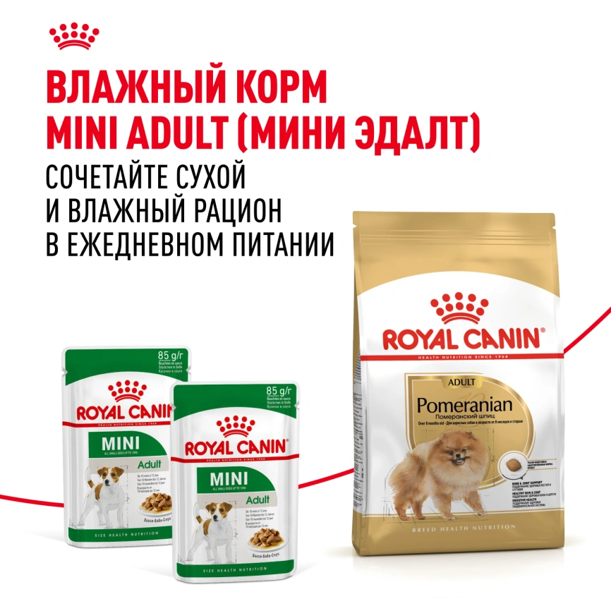 Сухой корм Royal Canin Pomeranian Adult для собак породы померанский шпиц, 1.5 кг фото 8