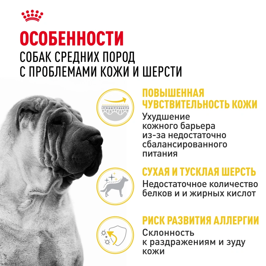 Сухой корм Royal Canin Medium Dermacomfort для собак, 3 кг фото 3