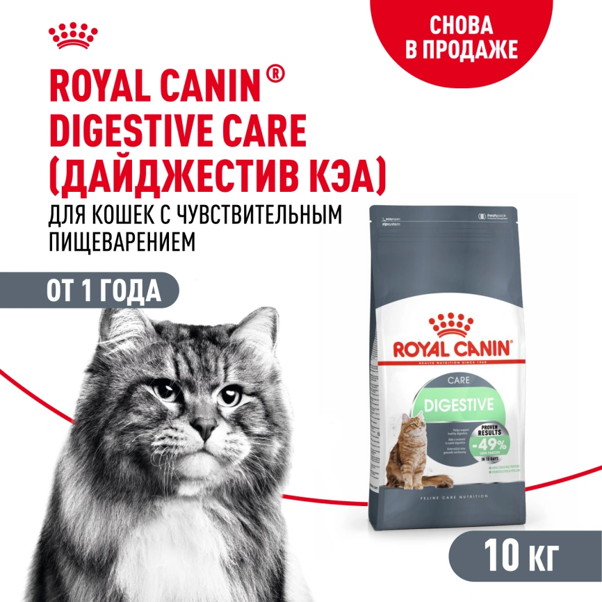 Сухой корм Royal Canin Digestive Care для кошек, 10 кг фото 1