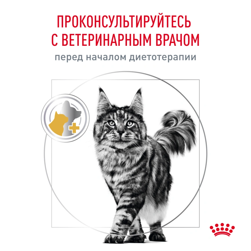 Сухой корм Royal Canin Urinary S/O для кошек при мочекаменной болезни, 350 г фото 10