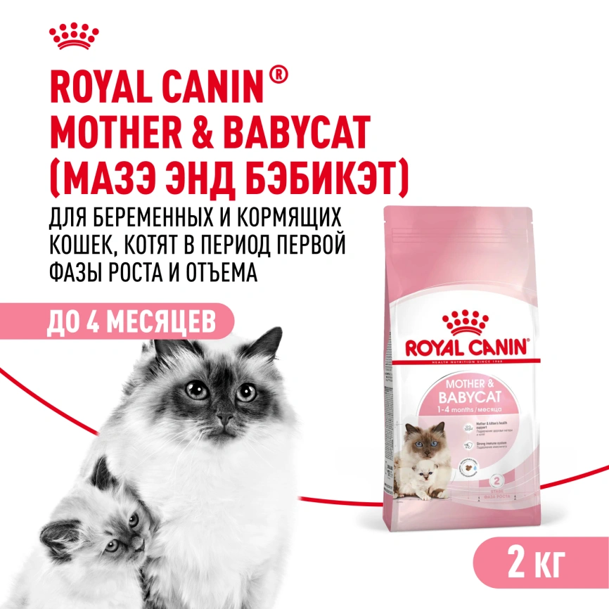 Сухой корм Royal Canin Mother & Babycat для котят, беременных и лактирующих кошек, 2 кг фото 1