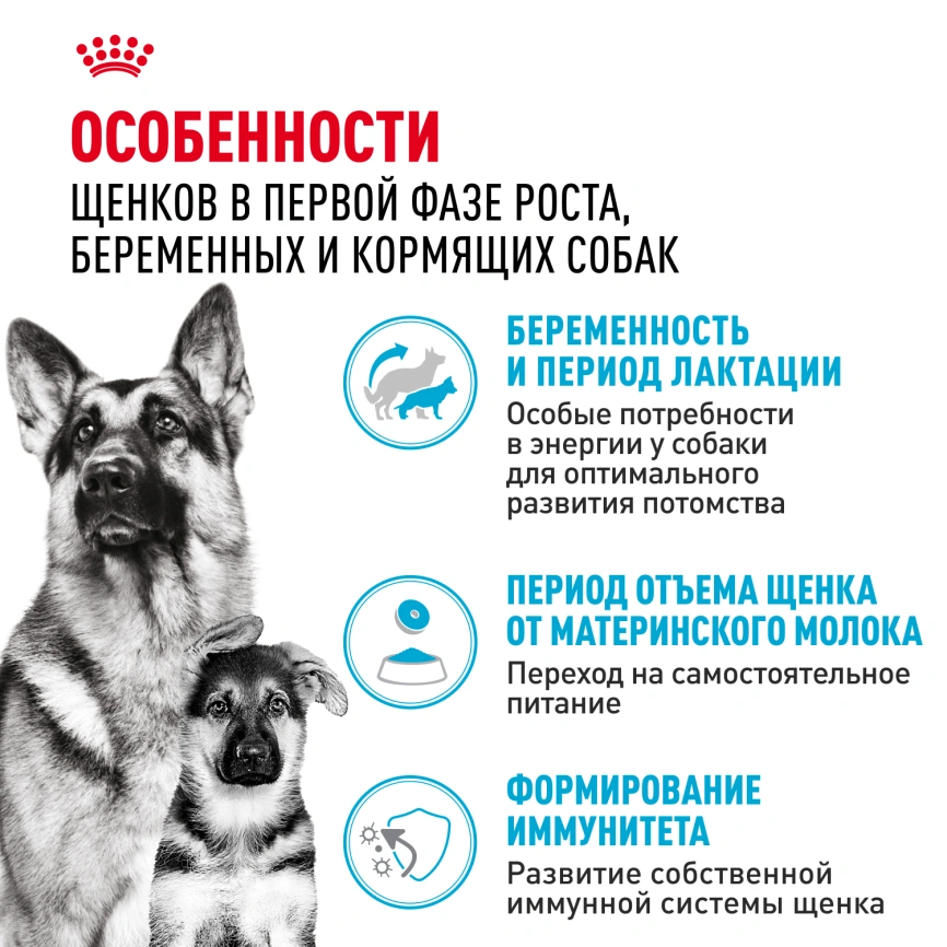 Сухой корм Royal Canin Maxi Starter Mother & Babydog для собак, 4 кг фото 8