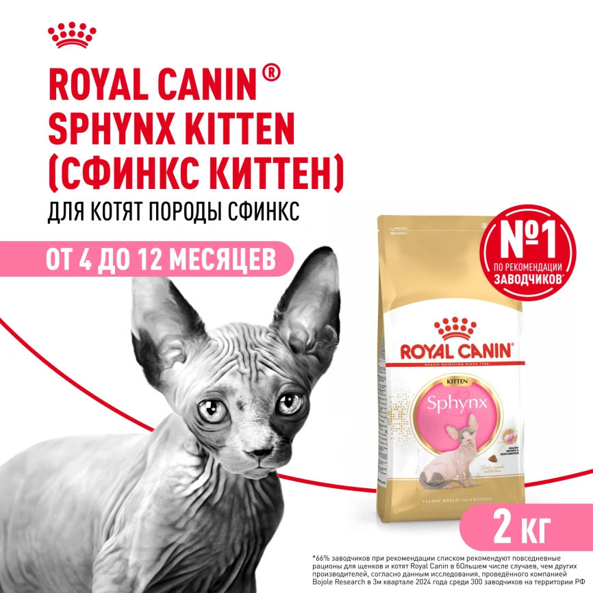 Сухой корм Royal Canin Kitten Sphynx для котят, 2 кг фото 1