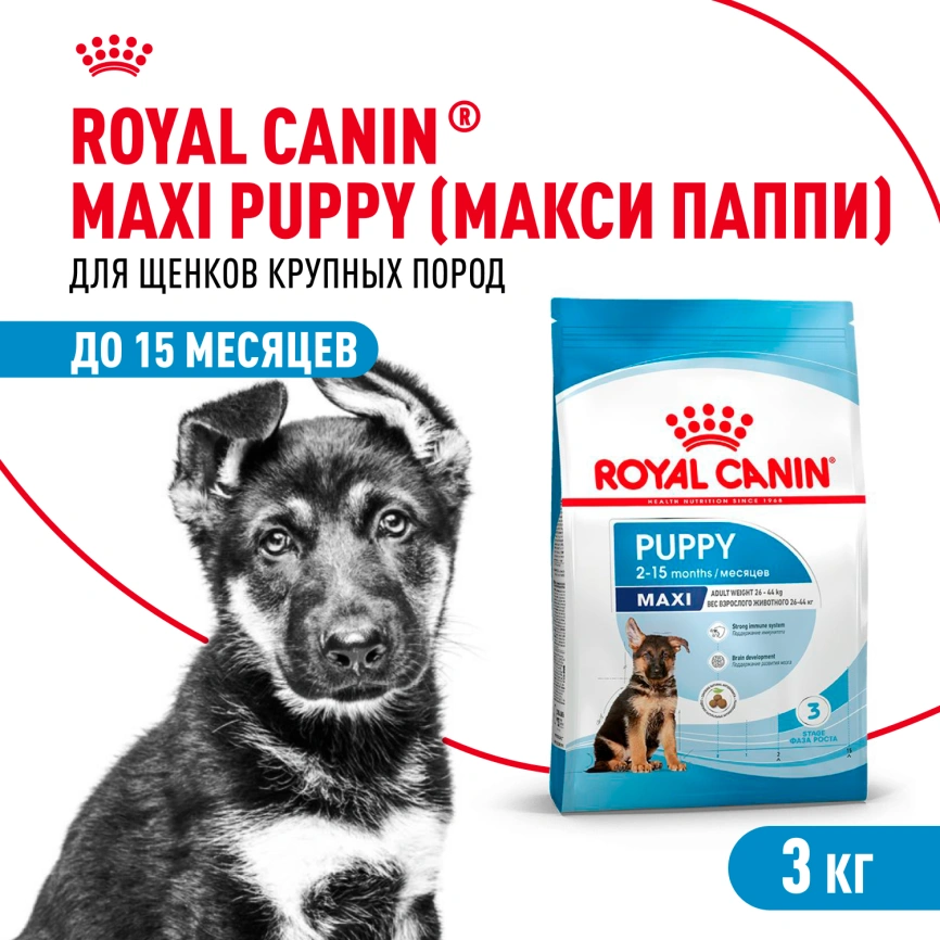 Сухой корм Royal Canin Maxi Puppy для щенков, 3 кг фото 1