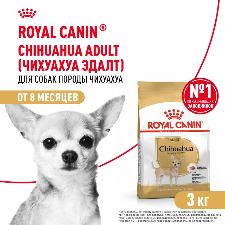 Сухой корм Royal Canin Chihuahua Adult для собак породы чихуахуа, 3 кг фото 1