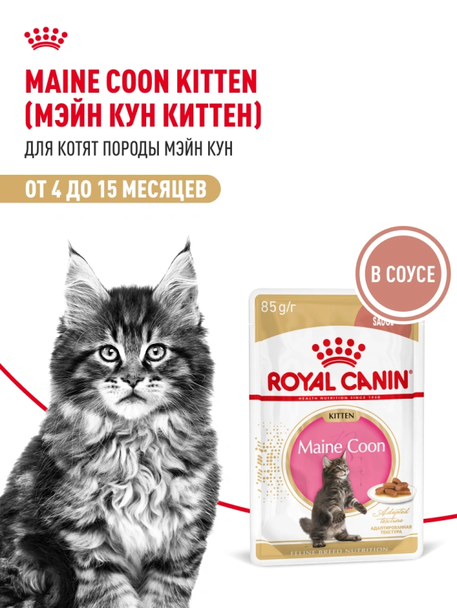 Влажный корм Royal Canin Maine Coon Kitten в соусе для котят породы мейн-кун и других крупных пород старше 3 месяцев, пауч, 85 г фото 13