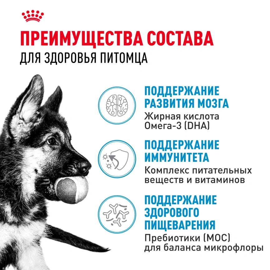 Сухой корм Royal Canin Maxi Puppy для щенков, 15 кг фото 3