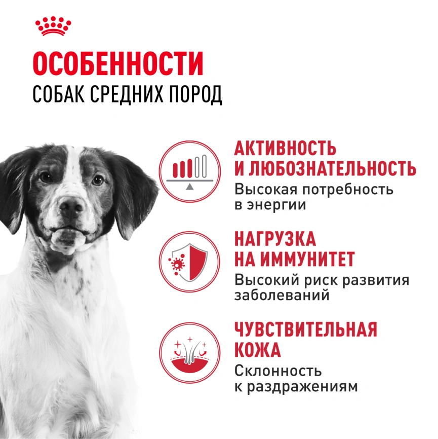Сухой корм Royal Canin Medium Adult для собак, 15 кг фото 2